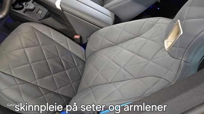 skinnpleie på seter og armlener
