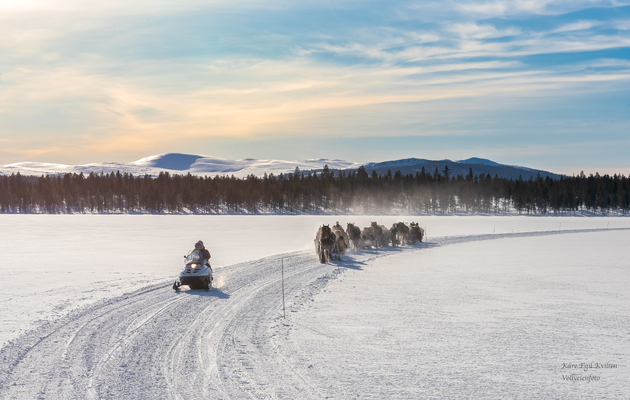 Oppdatering fra ESF før helgen!