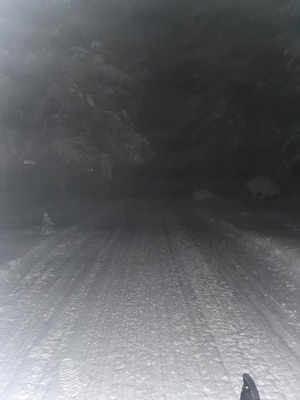 Stengt inn til Rødalen