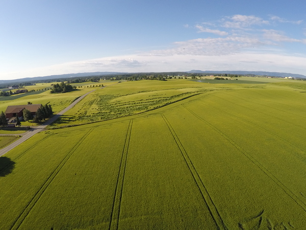 Byggåker i sommersol