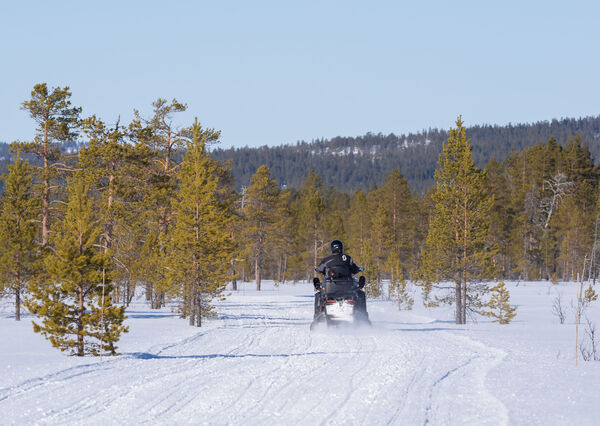 Fredag og snart helg, oppdatering løyper!
