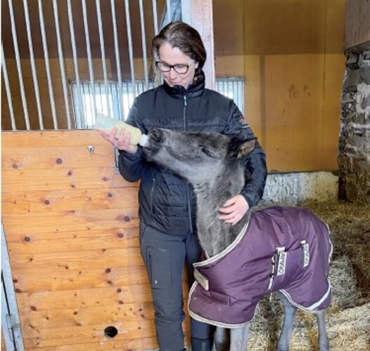 Hormonbehandling av amme