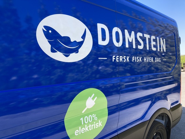 Domstein // Ford E-Transit 06.23