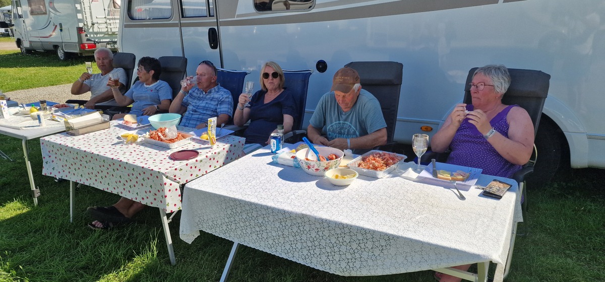 Dokka uke 28 2025 241790