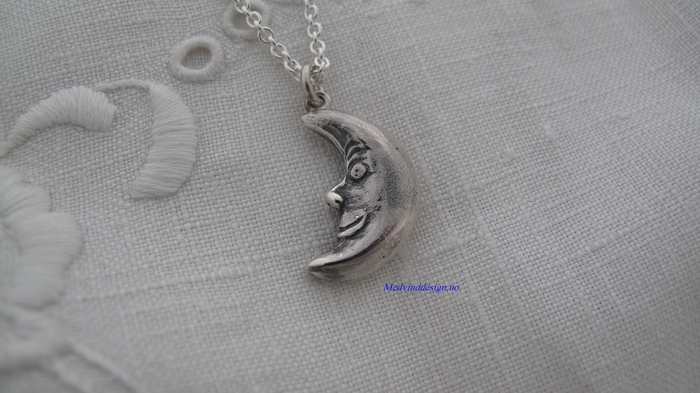 Medvind sølv 198919