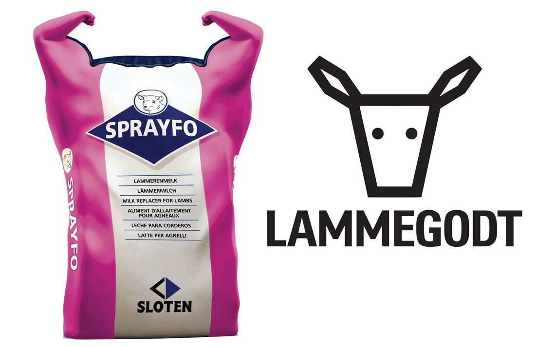 Sprayfo Lam 51