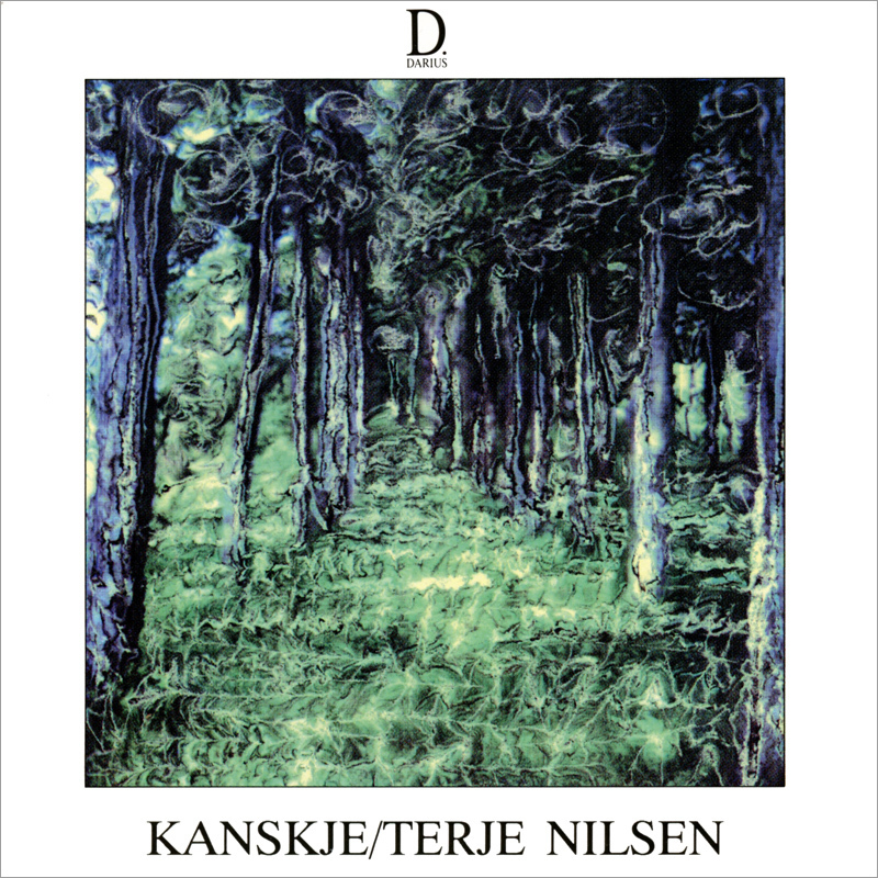 Platecover til Terje Nilsen - Kanskje