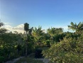 Sitio PrimaVera 242128