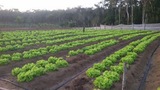 Sitio PrimaVera 242127