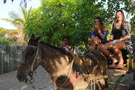Aluga Casa  do Thor em Caraiva 242090