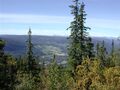 Skogshorn igjen i bedre fokus og samme fjellkjeden fra en litt annen vinkel i vårt tomteområde.