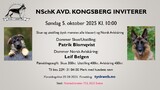 Annonser fra avdelinger 241989