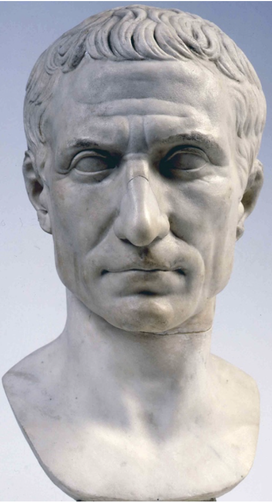 Julius en ape?????????????