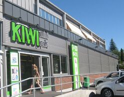 Kiwi Koldbotn 2008
