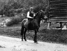 REF- 0020 Myrløkkja, Grindal  ca 1920.
Arnt Myrløkk til hest.