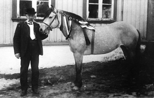 REF-0043  Byåsen, Trondheim 1905. 
Brukseigar M.C. Simonsen held 