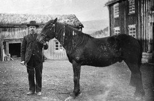 REF-0048  Ås/ Håmmåren,Grindal.
John Rasmussen med hest i tunet på Håmmåren.