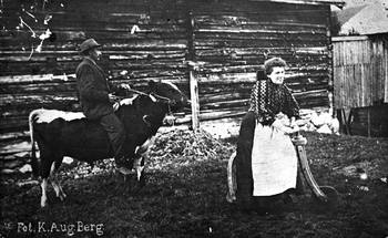 REF-0072 Bruholt, Grindal, 1912

'På ridetøyet skal storfolk kjennes'.
På oksen sit Endre Grendalsløkk og på den heimelaga tresykkelen sit onnatausa Berit Knarvik.