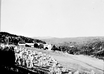 REF-0074 Bruholt, Grindal, etter 1925.
Høst, med kornet på staur (Ref. REF-0073)