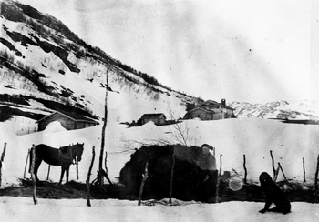 REF-0088 Setra til Nørgard Voll (Nørigard) Rennebu
Høykjøring om vinteren