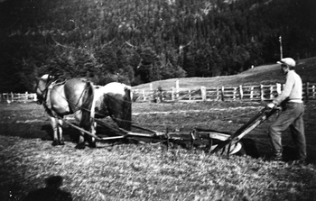 REF-0098 Furuly, Tverdal, Rennebu, ca 1937-38 - hestar
Pløying ned to hestar.