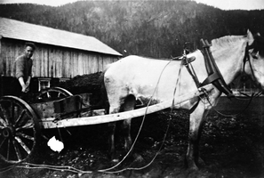 REF-0101  Furuly, Tverdal  ca 1937/38.
Møkkjøring. Jon Nybro lesser møkk på bikkvogna.
