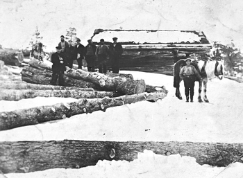 REF-0207 Nerskogen  1933.
Tømmerdrift på Sørøyåsen.
T.v. med skjegg står Hallvard Engelsjord.
T.h. ved hesten står Ingebrigt Lånke.