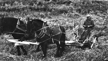 REF-0214 Nerskogen.
Slåttonn.
Hallvard Engelsjord på slåmaskina.