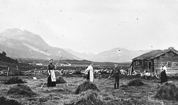 REF-0229  Jøldalen ca 1910.
Jelsætra,såting på sætervollen.
F.v. Lovise Hansen, Anna Nordbø, Einar Nordbø, Lise Hansen.
Bak ser vi sætra åt Oppstuggu Grindal.