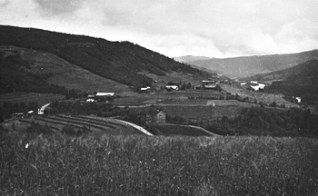 REF-0230  Grindal  ca 1940.
Grindalsgrenda med Grana Gjesteheim midt i bildet. Vidare langs vegen ligg Bruabakken, Bortstuggu Grindal, Innstuggu, Jelan, Oppstuggu, Løkkja og fjøset på Aune.