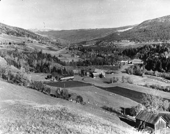 REF-0233  Grindal ca 1950.

Midt i bildet Øver-Myran og Ner-Myran, lenger ned til høgre Myrmoen.
T.v.Grindalsgrenda, Oppstuggu, Løkkja, Utstuggu. Ned til høgre Hosetlåven og Rv 700.