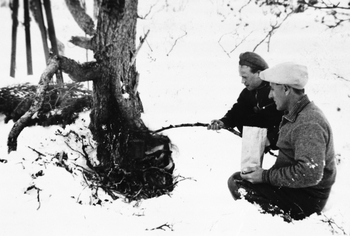 REF-0292 ca 1940  Voll-Herrem Rennebu Skitur med kaffekok opp mot Grajelfiellet.
Joar og 0laf Krovold.