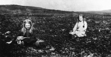 REF-0308 Nerskogen Heldalen Rennebu 1927  Molteplukking bortunder Grønholta, med Pikfjellet i bakgrunnen t.v. og Gråfjellet t.h. Dei som plukk
er 0lga Krovold og Ingeborg Herrem.