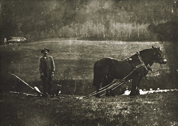 REF-0377 Mærk bru/ Voll   ca 1920.
Per Håggån (Hårstadhagen) pløyer med to hestar- aust for Mærk bru. Bak t.v. er garden Lund.
