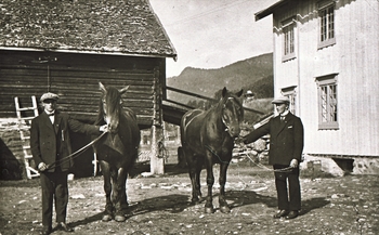 REF-0395 Hårstad/ Voll ca 1930.
Arnt Hårstad og Ola Hårstad med kvar sin hest i tunet på Utstuggu Hårstad. Gammelhusa før brannen i 1932.