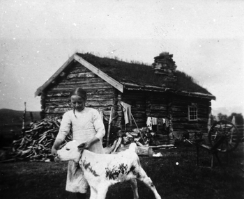 Ref 1986 -24.  Fra Jøldalen, Setra til Bortstuggu Grendal. 
Olava K. Grendal står med en kalv