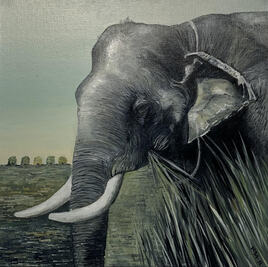 Asian elephant 30x30cm 2500,- 