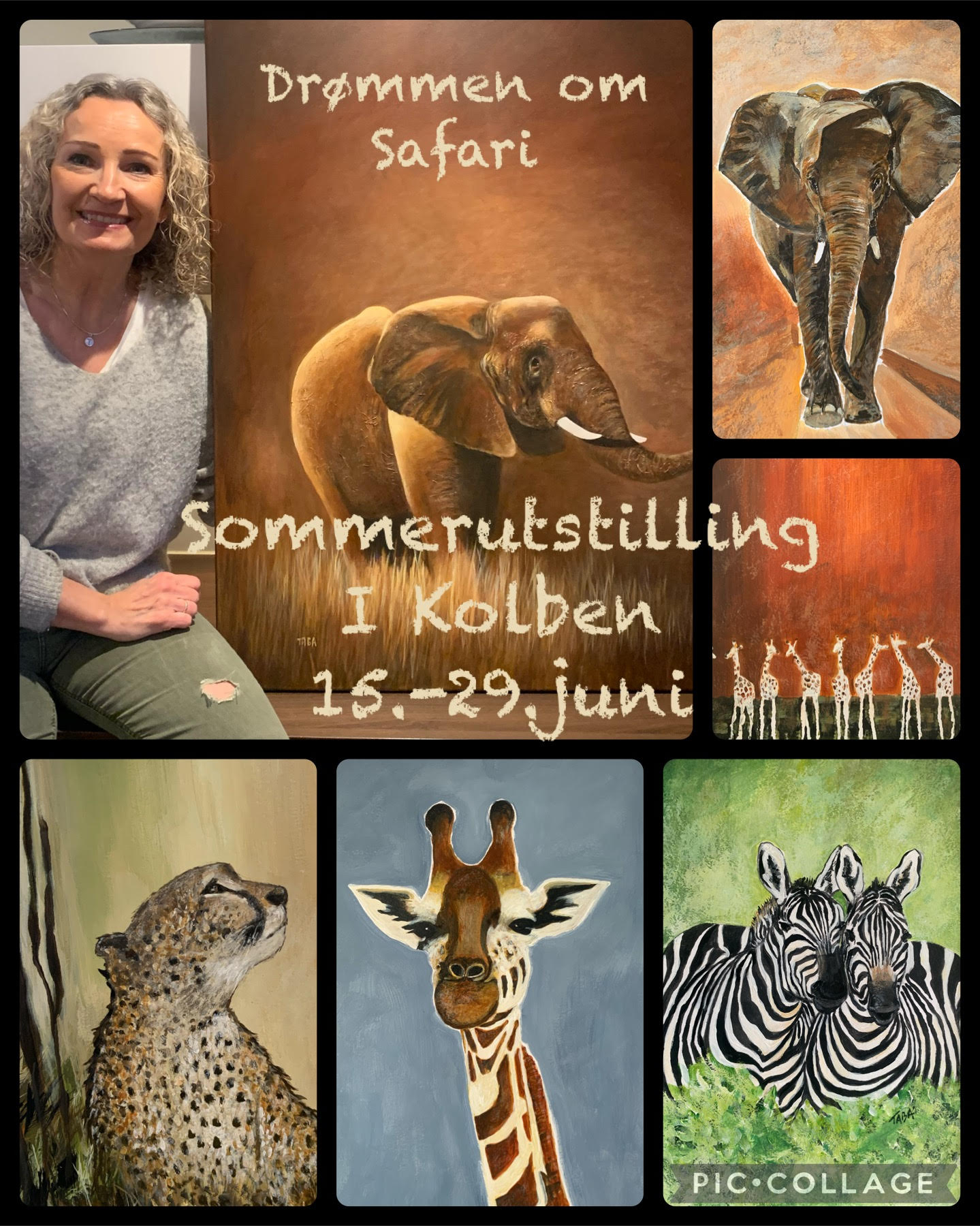 Plakat safari 