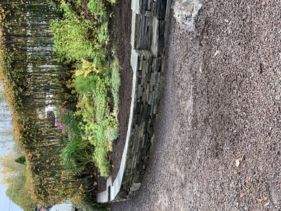 Skifer mur rå kopp med blomsterbed bak