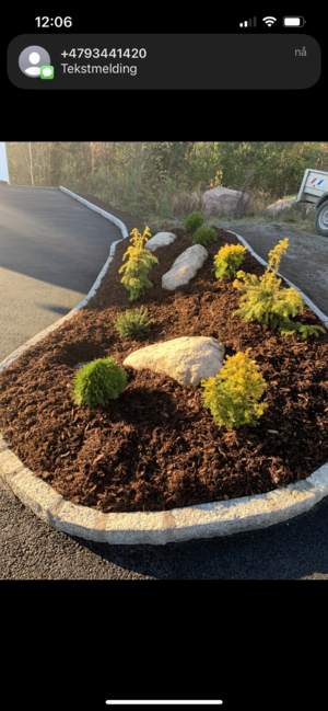 PLANTE BED AV DIV VINTERGRØNT OG BARK