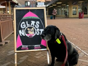 Skov Rejse Nat sted Hund i Oslo – enklere liv med hund