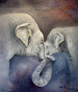 Elephant-kiss 40x50 4000.-