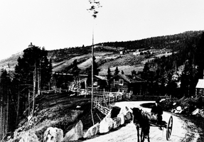 REF-0126   Ulsberg  ca 1890.
Hest og vogn på riksvegen nord for Ulsberg.
Tosetgardane i bakgrunnen.