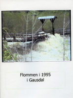 Flommen i Gausdal 1995 (DVD)