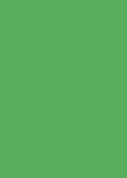 Plakatkartong grønn fluor, 270gr/m2, 50x70