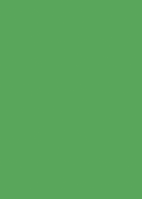 Plakatkartong grønn fluor, 270gr/m2, 70x100