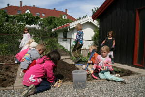 Barna i Eikenøtten jobber i ny grønnsakhage
