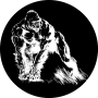 gorilla bilder 228030