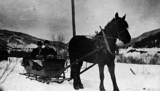 REF 1986-26 Myrhaug Grindal.. Fin skyss med hest, korgsluffe og dombjøllo