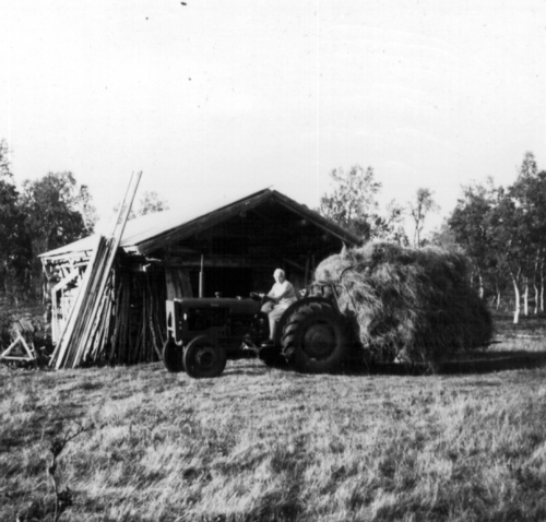 REF-0796 Svarthamran ca 1960. 'Sommerlass', på traktoren Karen Rogogjerd.